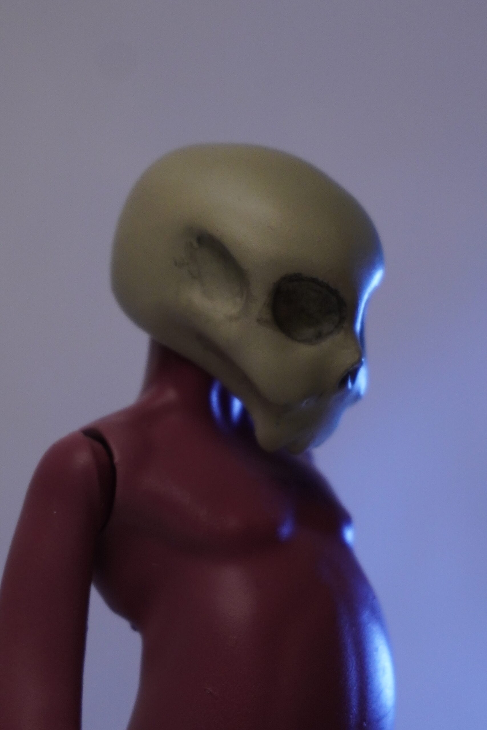 Squeleton 2 - Image 3